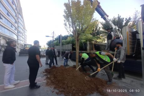diğer-görseller