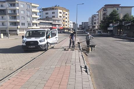diğer-görseller